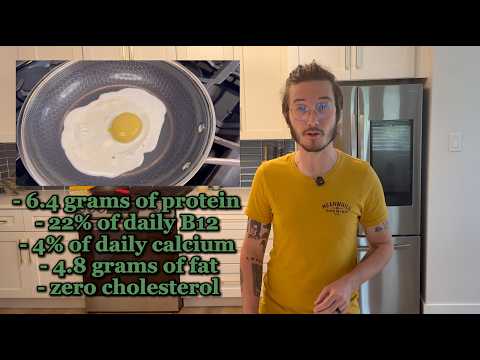 Plant-Based Egg Sauce